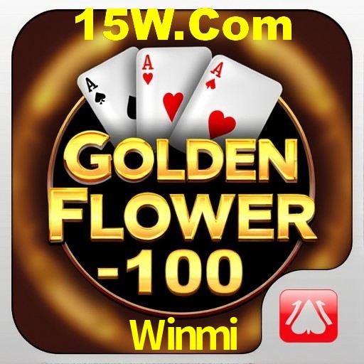 Interface do App Winmi